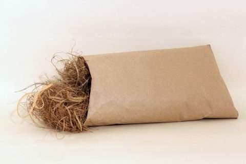 Plant-based "horse" hair